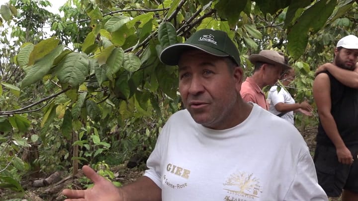 CULTIV A NOU - Lundi 10 Novembre 2025