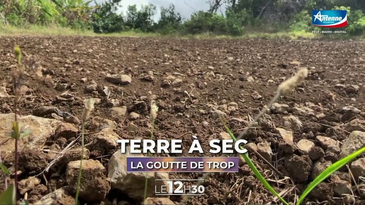 LE 12H30 - Mardi 20 Mai 2025