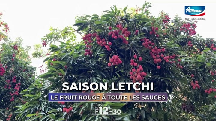 LE 12H30 - MERCREDI 26 NOVEMBRE 2025