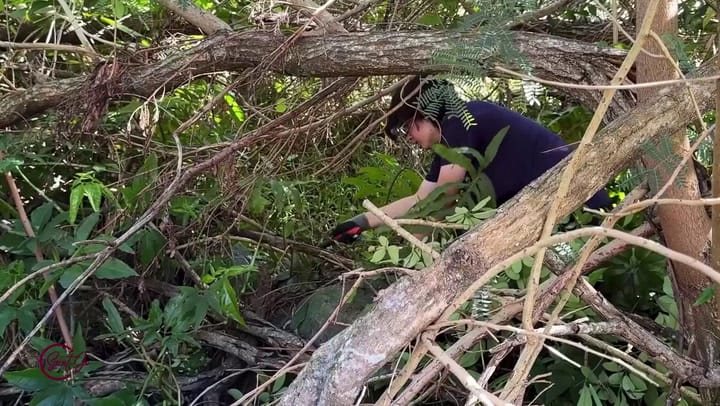 C'SAINT-JO -Mardi 25 Novembre 2025