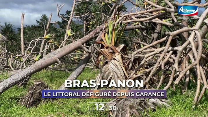 LE 12H30 - Vendredi 23 Mai 2025