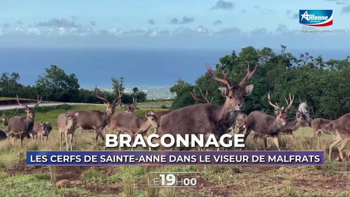 LE 19H00 - Lundi 30 Juin 2025
