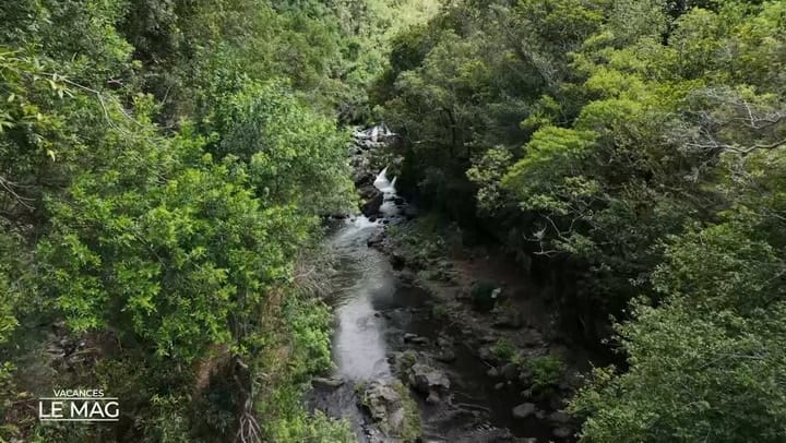 LE MAG DES VACANCES -31 Juillet 2025 - Nature - Saint Jo.mp4