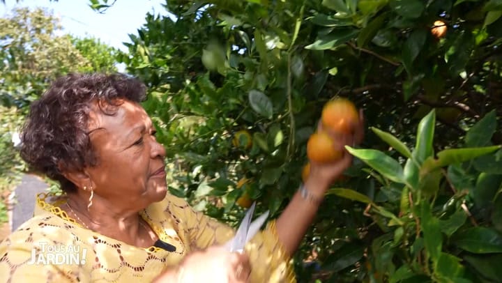 Replay TOUS AU JARDIN ! - Jeudi 25 Juillet 2024