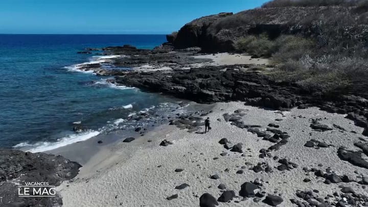 LE MAG DES VACANCES - 30 Juillet 2025 -Nature - Cap lahoussaye.mp4