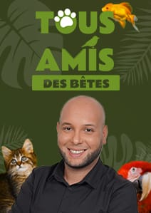 Tous Amis des Bêtes