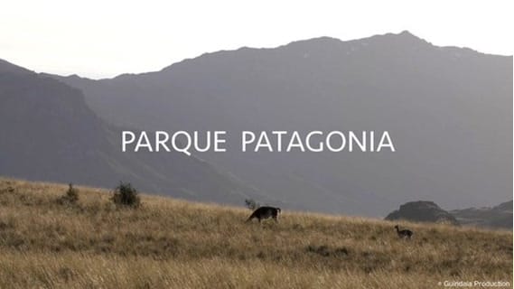 Replay PARQUE PATAGONIA- Jeudi 31 Août 2023