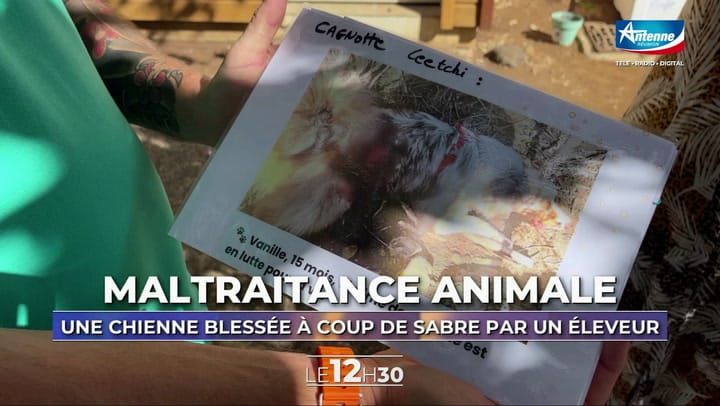 LE 12H30 - Lundi 11 Août 2025