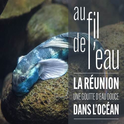 Replay "AU FIL DE L'EAU" - Mardi 03 Septembre 2024