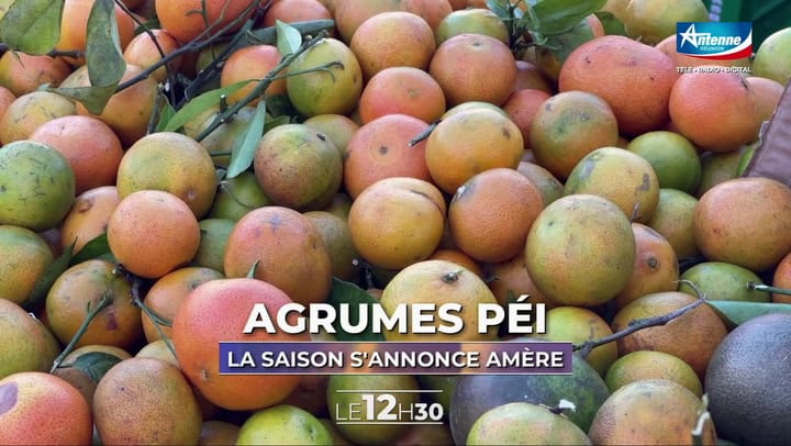 LE 12H30 - Mercredi 28 Mai 2025