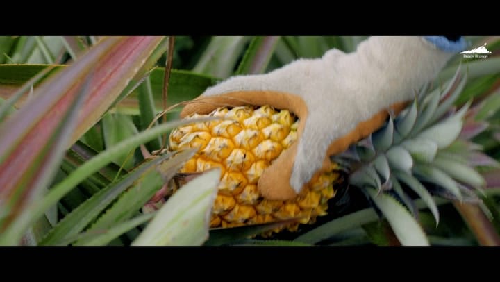 La Réunion au Salon International de l’Agriculture