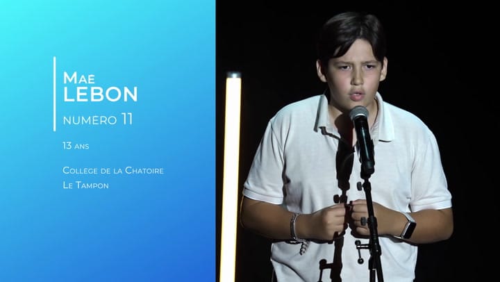 Concours départemental d'éloquence des collégiens 2024/2025 - Mae LEBON