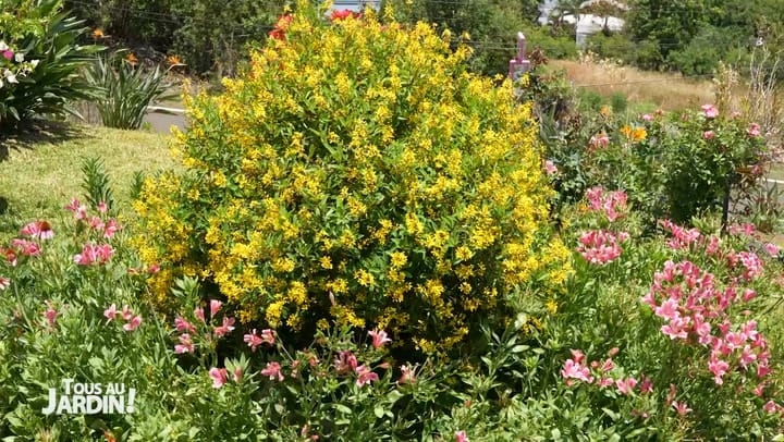 TOUS AU JARDIN ! - Vendredi 14 Février 2025