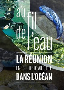 Au fil de l'eau