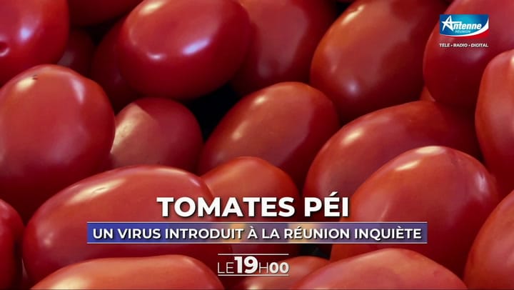 LE 19H00 - Lundi 26 Mai 2025