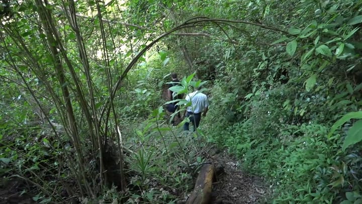 CULTIV A NOU - Lundi 03 Novembre 2025