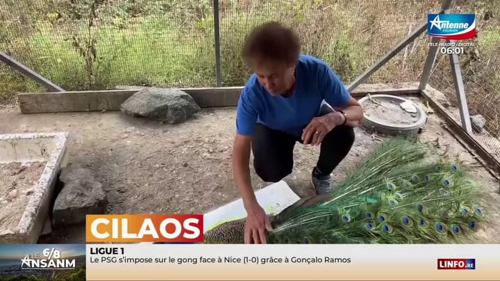 Le 6/8 ANSANM -Lundi 03 Novembre 2025