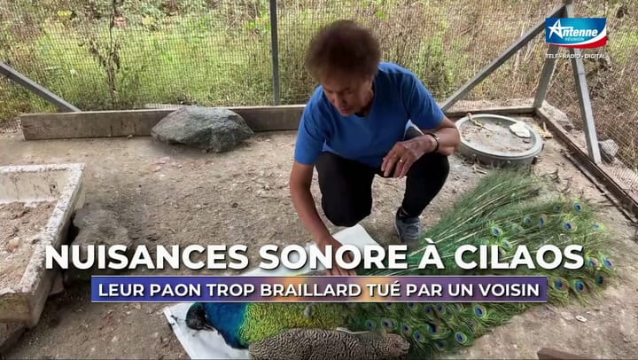 LE 19H00 - DIMANCHE 02 NOVEMBRE 2025