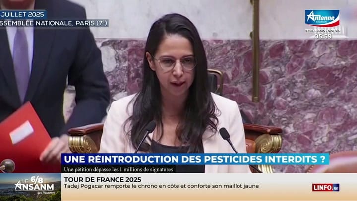 LE 6/8 ANSANM DES VACANCES - Lundi 21 Juillet 2025