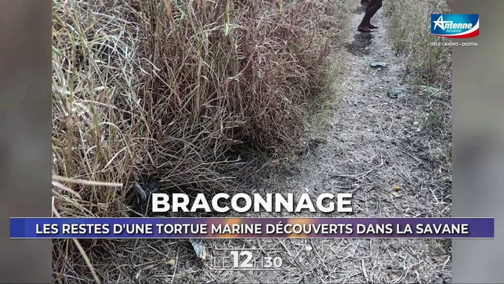 LE 12H30 - Jeudi 14 Août 2025 