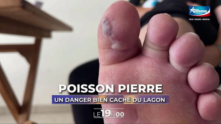 LE 19H00 - LUNDI 13 OCTOBRE 2025