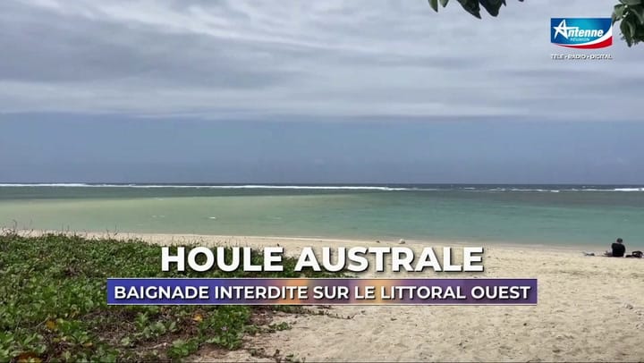 LE 12H30 - SAMEDI 15 NOVEMBRE 2025