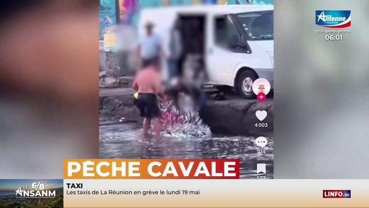 LE 6/8 ANSANM -  Mardi 13 Mai 2025