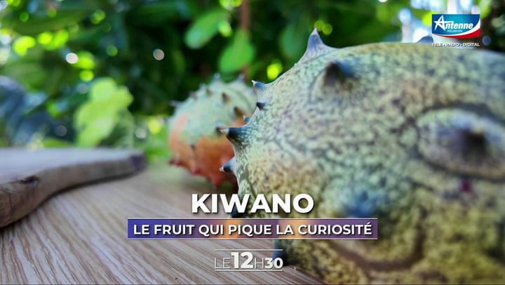 LE 12H30 - JEUDI 10 JUILLET 2025 