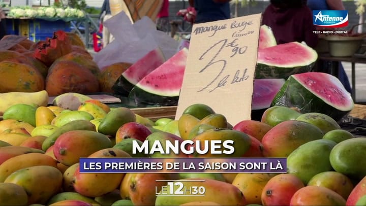 LE 12H30 - MERCREDI 29 OCTOBRE 2025