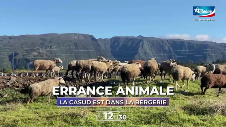 LE 12H30 Week-end - SAMEDI 30 AOÛT 2025 