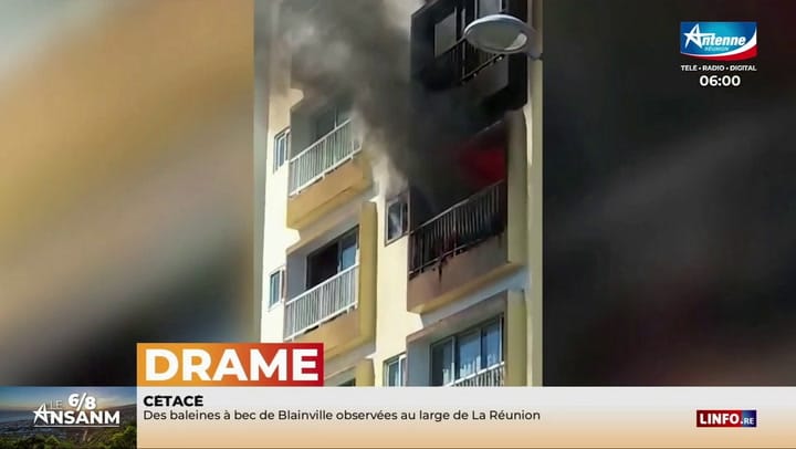 LE 6/8 ANSANM - Lundi 05 Mai 2025