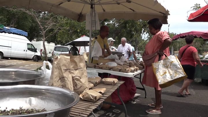 CULTIV A NOU - Lundi 17 Novembre 2025