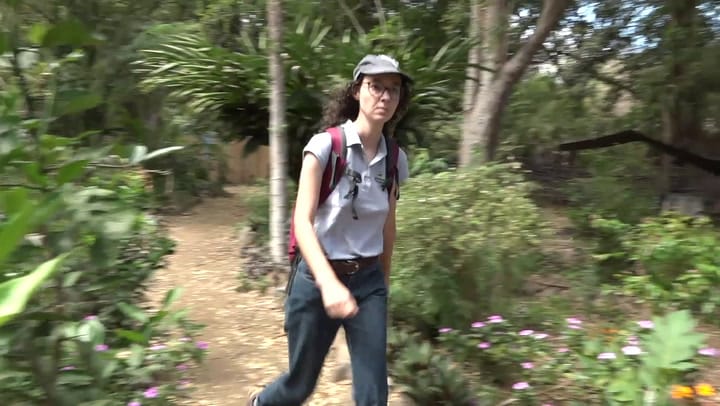 CULTIV A NOU - Lundi 27 Octobre 2025